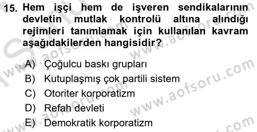 Siyaset Bilimi Dersi 2023 - 2024 Yılı (Final) Dönem Sonu Sınav Soruları 15. Soru