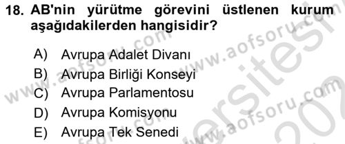Siyaset Bilimi Dersi 2023 - 2024 Yılı (Final) Dönem Sonu Sınav Soruları 18. Soru