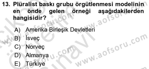 Siyaset Bilimi Dersi 2023 - 2024 Yılı Yaz Okulu Sınav Soruları 13. Soru