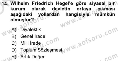 Siyaset Bilimi Dersi 2023 - 2024 Yılı Yaz Okulu Sınav Soruları 14. Soru