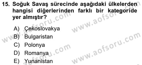 Siyaset Bilimi Dersi 2023 - 2024 Yılı Yaz Okulu Sınav Soruları 15. Soru