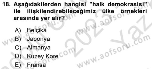 Siyaset Bilimi Dersi 2023 - 2024 Yılı Yaz Okulu Sınav Soruları 18. Soru