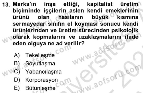 Siyaset Bilimi Dersi 2024 - 2025 Yılı (Vize) Ara Sınav Soruları 13. Soru