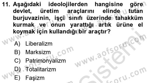 Siyaset Bilimi Dersi 2024 - 2025 Yılı Yaz Okulu Sınav Soruları 11. Soru