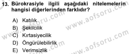 Siyaset Bilimi Dersi 2024 - 2025 Yılı Yaz Okulu Sınav Soruları 13. Soru