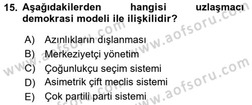 Siyaset Bilimi Dersi 2024 - 2025 Yılı Yaz Okulu Sınav Soruları 15. Soru