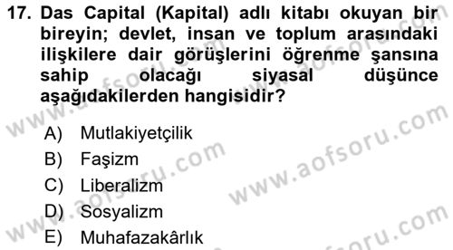 Siyaset Bilimi Dersi 2024 - 2025 Yılı Yaz Okulu Sınav Soruları 17. Soru