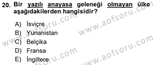 Siyaset Bilimi Dersi 2024 - 2025 Yılı Yaz Okulu Sınav Soruları 20. Soru