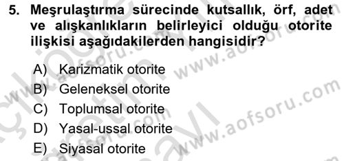 Siyaset Bilimi Dersi 2024 - 2025 Yılı Yaz Okulu Sınav Soruları 5. Soru