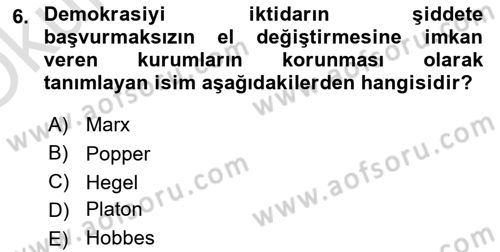 Siyaset Bilimi Dersi 2024 - 2025 Yılı Yaz Okulu Sınav Soruları 6. Soru