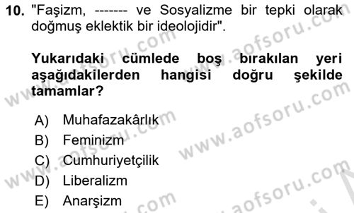 Siyaset Bilimi Dersi 2025 - 2026 Yılı Yaz Okulu Sınav Soruları 10. Soru