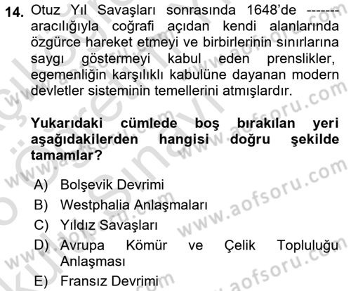 Siyaset Bilimi Dersi 2025 - 2026 Yılı Yaz Okulu Sınav Soruları 14. Soru