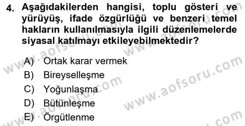 Siyaset Bilimi Dersi 2025 - 2026 Yılı Yaz Okulu Sınav Soruları 4. Soru