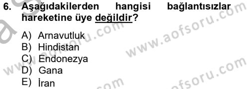 Gelişmekte Olan Ülkelerde Siyaset Dersi 2012 - 2013 Yılı (Vize) Ara Sınav Soruları 6. Soru