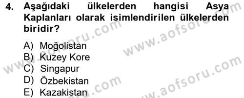 Gelişmekte Olan Ülkelerde Siyaset Dersi 2012 - 2013 Yılı (Final) Dönem Sonu Sınav Soruları 4. Soru