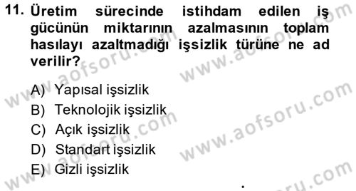 Gelişmekte Olan Ülkelerde Siyaset Dersi 2014 - 2015 Yılı (Vize) Ara Sınav Soruları 11. Soru