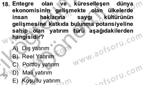 Gelişmekte Olan Ülkelerde Siyaset Dersi 2014 - 2015 Yılı (Vize) Ara Sınav Soruları 18. Soru