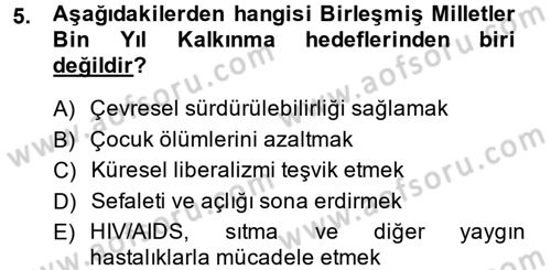 Gelişmekte Olan Ülkelerde Siyaset Dersi 2014 - 2015 Yılı (Vize) Ara Sınav Soruları 5. Soru