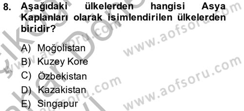 Gelişmekte Olan Ülkelerde Siyaset Dersi 2014 - 2015 Yılı (Vize) Ara Sınav Soruları 8. Soru