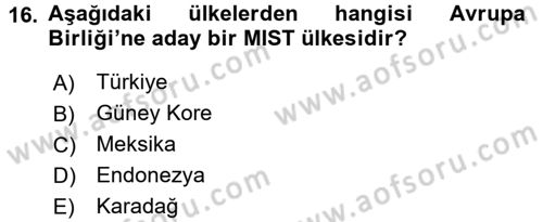 Gelişmekte Olan Ülkelerde Siyaset Dersi 2016 - 2017 Yılı (Vize) Ara Sınav Soruları 16. Soru