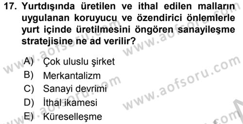 Gelişmekte Olan Ülkelerde Siyaset Dersi 2016 - 2017 Yılı (Vize) Ara Sınav Soruları 17. Soru