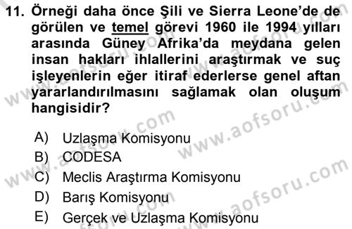 Gelişmekte Olan Ülkelerde Siyaset Dersi 2016 - 2017 Yılı (Final) Dönem Sonu Sınav Soruları 11. Soru