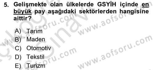 Gelişmekte Olan Ülkelerde Siyaset Dersi 2018 - 2019 Yılı 3 Ders Sınav Soruları 5. Soru