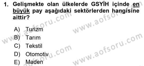 Gelişmekte Olan Ülkelerde Siyaset Dersi 2018 - 2019 Yılı (Vize) Ara Sınav Soruları 1. Soru