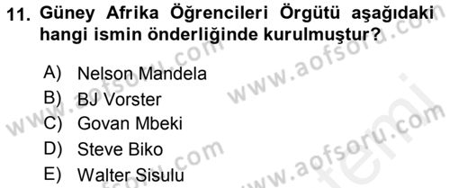 Gelişmekte Olan Ülkelerde Siyaset Dersi 2018 - 2019 Yılı (Vize) Ara Sınav Soruları 11. Soru