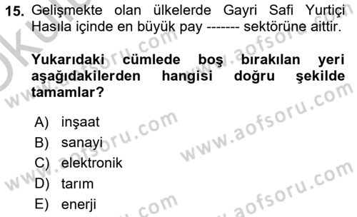 Gelişmekte Olan Ülkelerde Siyaset Dersi 2018 - 2019 Yılı Yaz Okulu Sınav Soruları 15. Soru