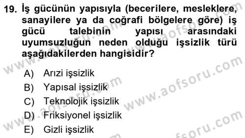 Gelişmekte Olan Ülkelerde Siyaset Dersi 2021 - 2022 Yılı (Vize) Ara Sınav Soruları 19. Soru