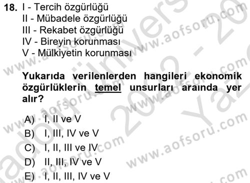 Gelişmekte Olan Ülkelerde Siyaset Dersi 2022 - 2023 Yılı Yaz Okulu Sınav Soruları 18. Soru