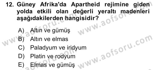 Gelişmekte Olan Ülkelerde Siyaset Dersi 2023 - 2024 Yılı (Vize) Ara Sınav Soruları 12. Soru