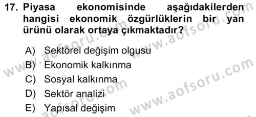 Gelişmekte Olan Ülkelerde Siyaset Dersi 2023 - 2024 Yılı (Vize) Ara Sınav Soruları 17. Soru