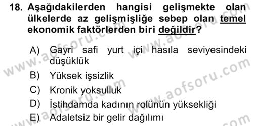 Gelişmekte Olan Ülkelerde Siyaset Dersi 2023 - 2024 Yılı (Vize) Ara Sınav Soruları 18. Soru