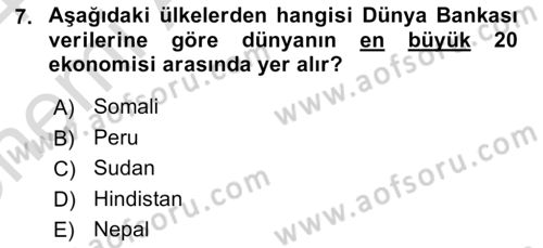 Gelişmekte Olan Ülkelerde Siyaset Dersi 2023 - 2024 Yılı (Vize) Ara Sınav Soruları 7. Soru