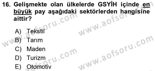 Gelişmekte Olan Ülkelerde Siyaset Dersi 2023 - 2024 Yılı (Final) Dönem Sonu Sınav Soruları 16. Soru