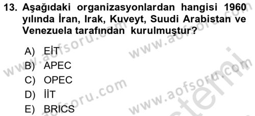 Gelişmekte Olan Ülkelerde Siyaset Dersi 2023 - 2024 Yılı Yaz Okulu Sınav Soruları 13. Soru