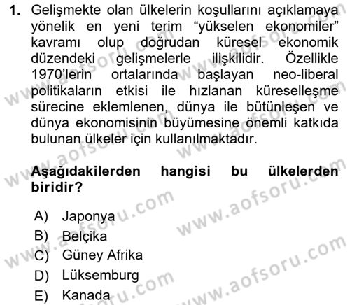 Gelişmekte Olan Ülkelerde Siyaset Dersi 2024 - 2025 Yılı (Vize) Ara Sınav Soruları 1. Soru