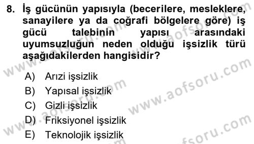 Gelişmekte Olan Ülkelerde Siyaset Dersi 2024 - 2025 Yılı (Vize) Ara Sınav Soruları 8. Soru