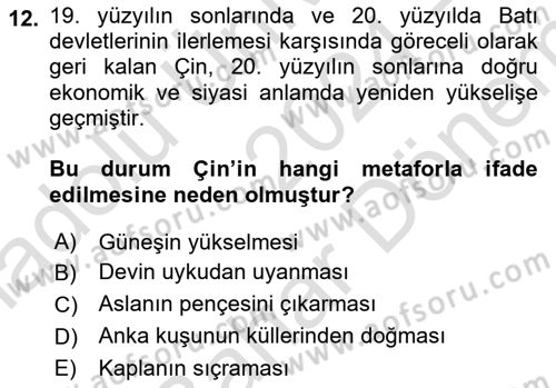 Gelişmekte Olan Ülkelerde Siyaset Dersi 2024 - 2025 Yılı (Final) Dönem Sonu Sınav Soruları 12. Soru