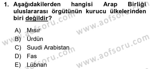 Gelişmekte Olan Ülkelerde Siyaset Dersi 2024 - 2025 Yılı Yaz Okulu Sınav Soruları 1. Soru