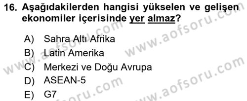Gelişmekte Olan Ülkelerde Siyaset Dersi 2024 - 2025 Yılı Yaz Okulu Sınav Soruları 16. Soru