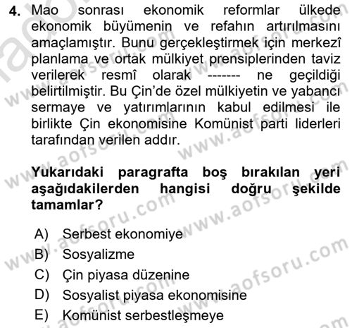 Gelişmekte Olan Ülkelerde Siyaset Dersi 2024 - 2025 Yılı Yaz Okulu Sınav Soruları 4. Soru