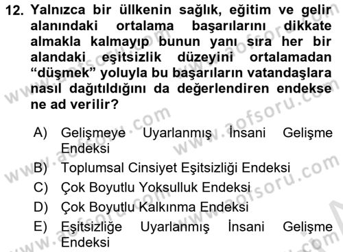 Gelişmekte Olan Ülkelerde Siyaset Dersi 2025 - 2026 Yılı (Vize) Ara Sınav Soruları 12. Soru
