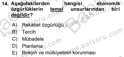 Gelişmekte Olan Ülkelerde Siyaset Dersi 2025 - 2026 Yılı (Vize) Ara Sınav Soruları 14. Soru