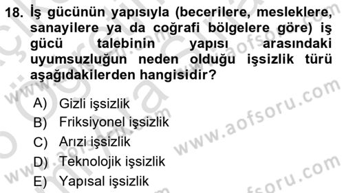 Gelişmekte Olan Ülkelerde Siyaset Dersi 2025 - 2026 Yılı (Vize) Ara Sınav Soruları 18. Soru