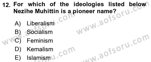 Turkish Politics Dersi 2023 - 2024 Yılı Yaz Okulu Sınav Soruları 12. Soru