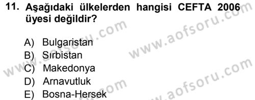 Balkanlarda Siyaset Dersi 2012 - 2013 Yılı (Final) Dönem Sonu Sınav Soruları 11. Soru