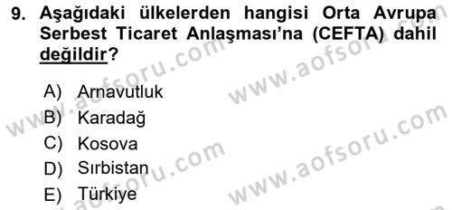 Balkanlarda Siyaset Dersi 2016 - 2017 Yılı (Final) Dönem Sonu Sınav Soruları 9. Soru